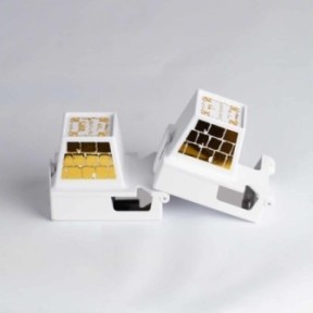 Golden Kotel White Teffilin Box