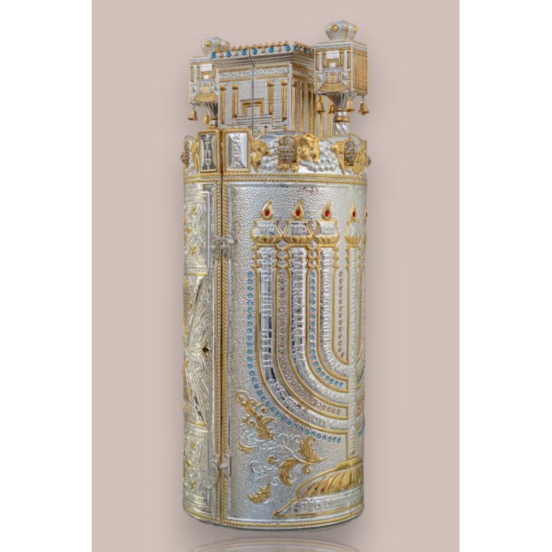 Case for haftara model lamna’tseach and magen david