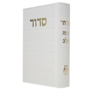 Siddour Skye Binat Halev Kotel 12*17