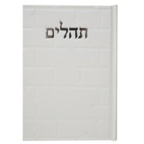 Tehillim Skye Binat Halev Kotel 12*17