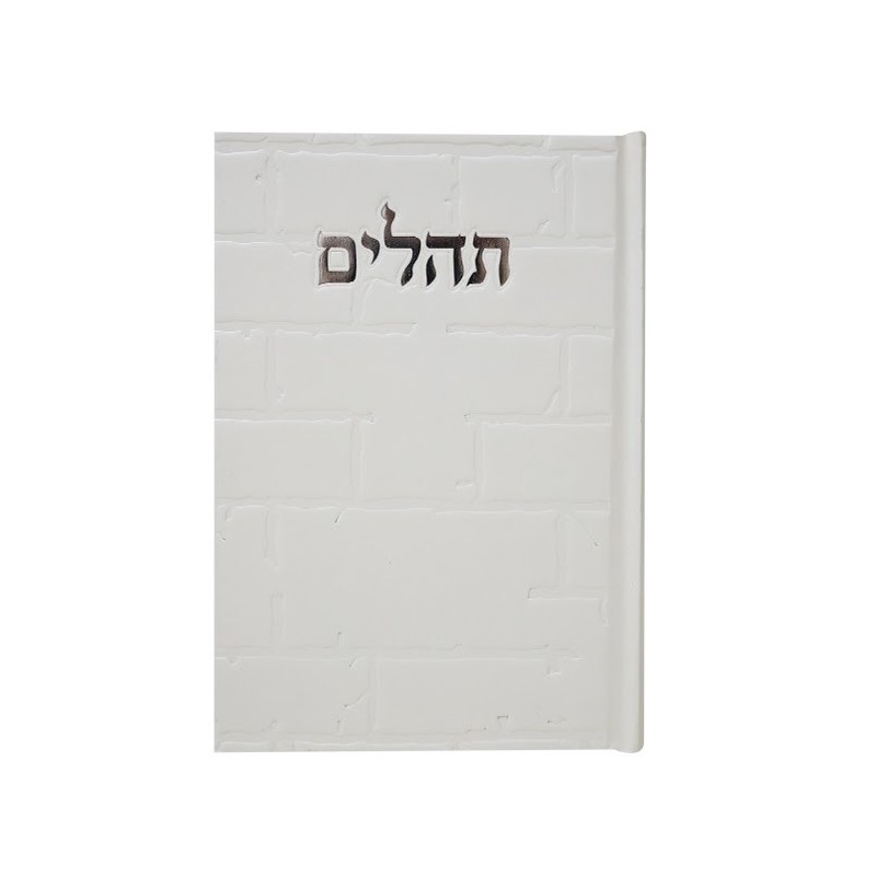 Tehillim Skye Binat Halev Kotel 12*17