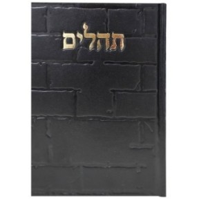 Tehillim Skye Binat Halev Kotel 12*17