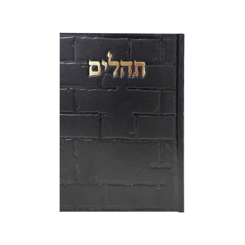 Tehillim Skye Binat Halev Kotel 12*17