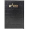 Tehillim Skye Binat Halev Kotel 12*17
