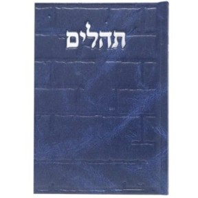 Tehillim Skye Binat Halev Kotel 12*17