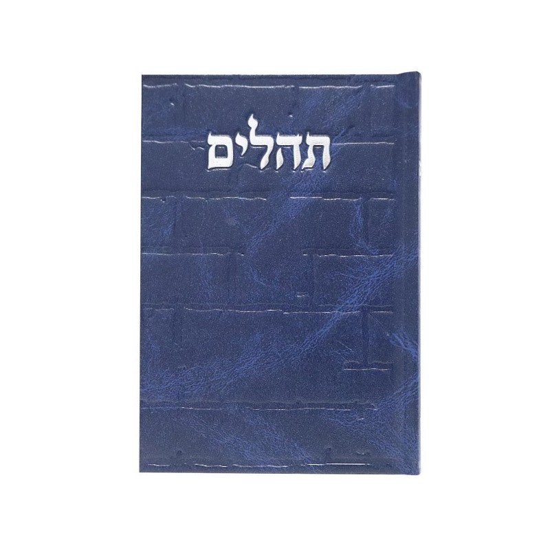 Tehillim Skye Binat Halev Kotel 12*17