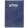 Tehillim Skye Binat Halev Kotel 12*17