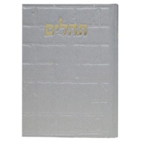Tehillim Skye Binat Halev Kotel 12*17