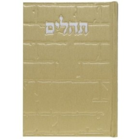 Tehillim Skye Binat Halev Kotel 12*17