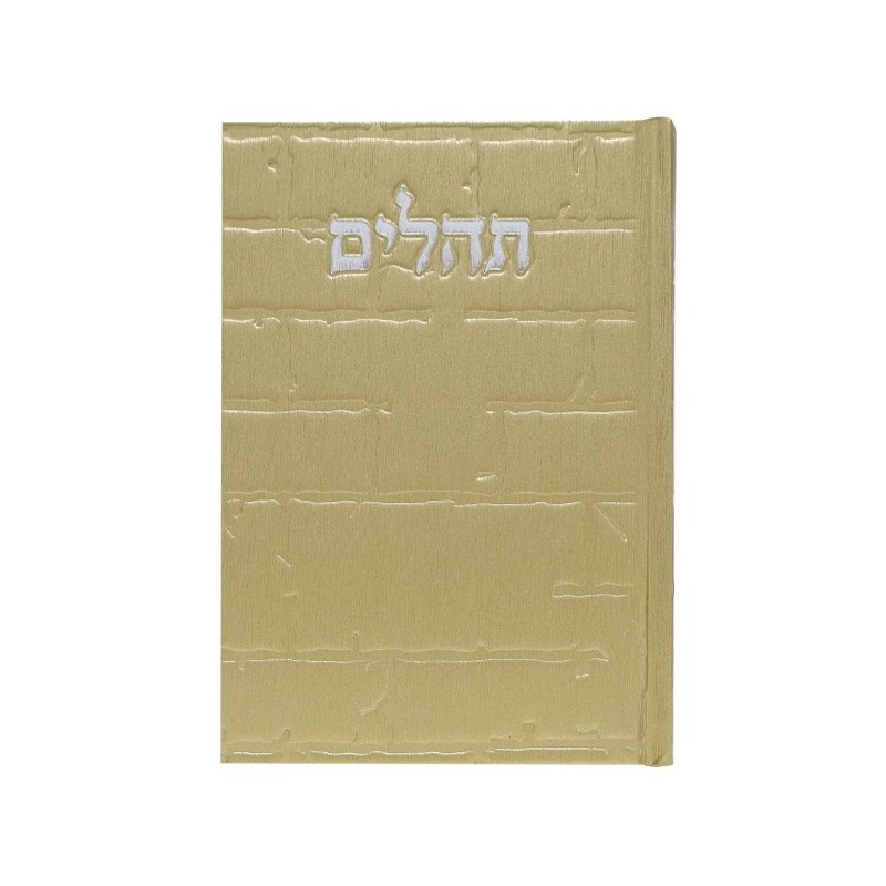 Tehillim Skye Binat Halev Kotel 12*17