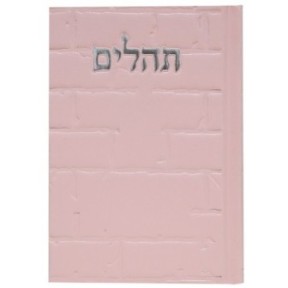 Tehillim Skye Binat Halev Kotel 12*17