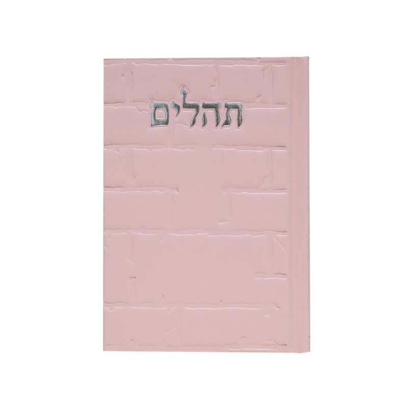 Tehillim Skye Binat Halev Kotel 12*17