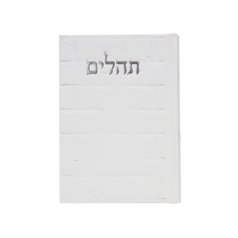 Tehillim Skye Binat Halev Kotel 12*8