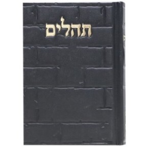 Tehillim Skye Binat Halev Kotel 12*8