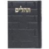 Tehillim Skye Binat Halev Kotel 12*8