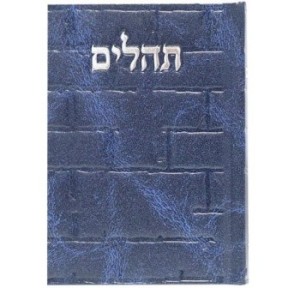 Tehillim Skye Binat Halev Kotel 12*8