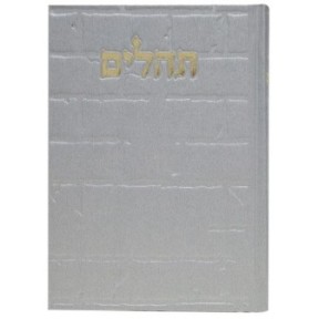 Tehillim Skye Binat Halev Kotel 12*8
