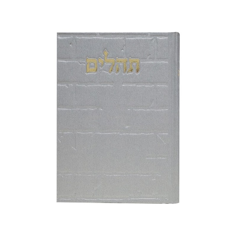 Tehillim Skye Binat Halev Kotel 12*8