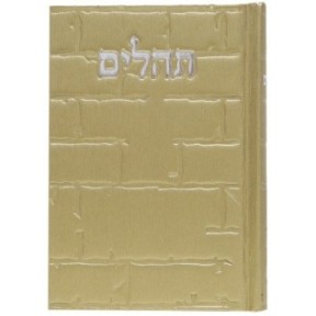 Tehillim Skye Binat Halev Kotel 12*8