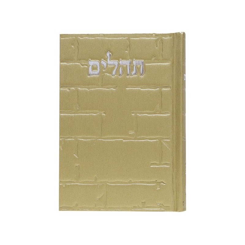 Tehillim Skye Binat Halev Kotel 12*8
