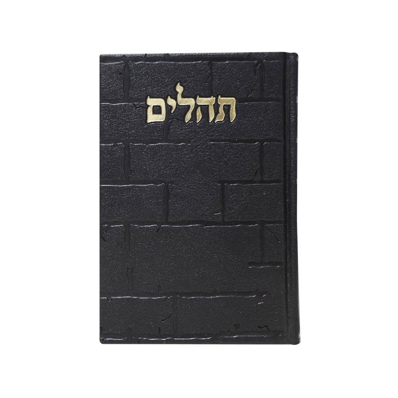תהילים, פה הלב, האינטליגנציה של הקיר, 12*17