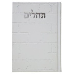 תהילים, פה הלב, האינטליגנציה של הקיר, 12*17