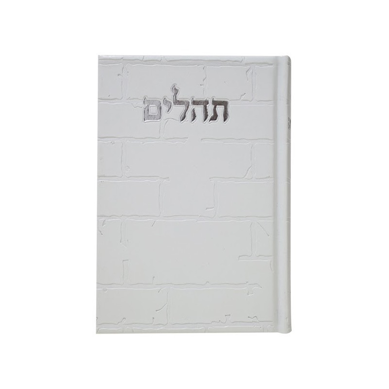 תהילים, פה הלב, האינטליגנציה של הקיר, 12*17