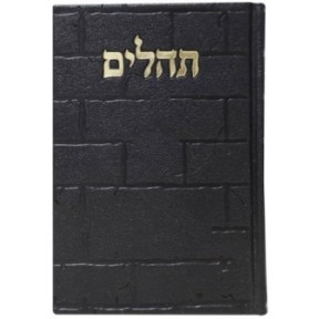 תהילים, פה הלב, הבנת הקיר הגדול, 17*24