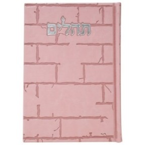 תהילים, פה הלב, הבנת הקיר הגדול, 17*24
