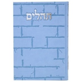 תהילים, פה הלב, הבנת הקיר הגדול, 17*24