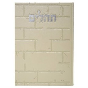 תהילים, פה הלב, הבנת הקיר הגדול, 17*24
