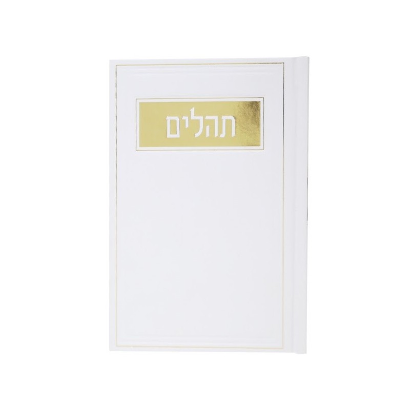 תהילים פלסטיים, בלב, מסגרת 12*17