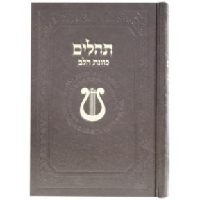 תהילים סקיי כוונת הלב 12*17