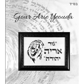 Gour Arie Yehouda paintings