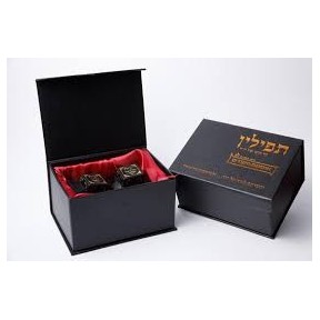Shufra Deshufra model - Halakhic excellence
