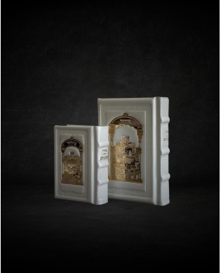 עותק של עותק של GRAND TEHILIM CUIR