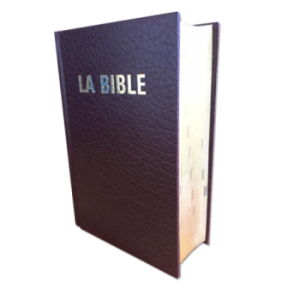 The pocket bible, luxury brown version