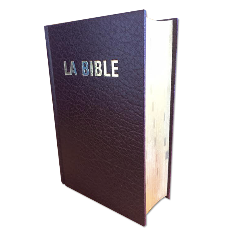 The pocket bible, luxury brown version