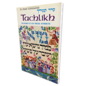 Tachlikh / The thirteen attributes