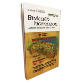 Birkath Hamazon