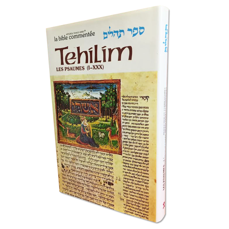 Psalms / Tehilim Tome I (Psalms 1 to 30)