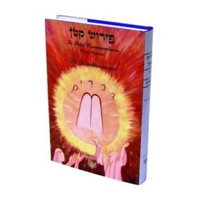 The little comment - Deuteronome / Devarim