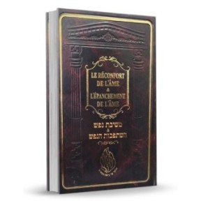 נוחות הנפש ושפחת הנשמה