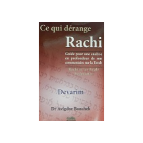 Which bothers Rachi - Devarim