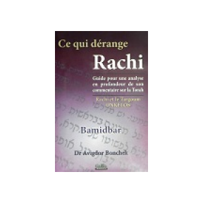 What bothers Rachi - Bamidbar