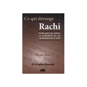 Which disturbs Rachi - Berechit
