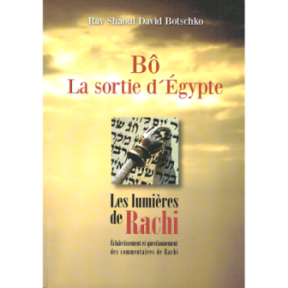 Rachi lights -Bô Paracha