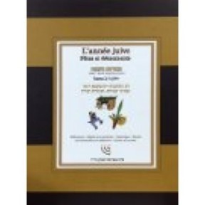 The Jewish Year Festivals and Events Tome 2