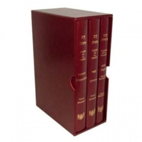 The weapon of speech - Three volumes box - Roch Hachana, Yom Kippour, daily prayers (Bordeau)