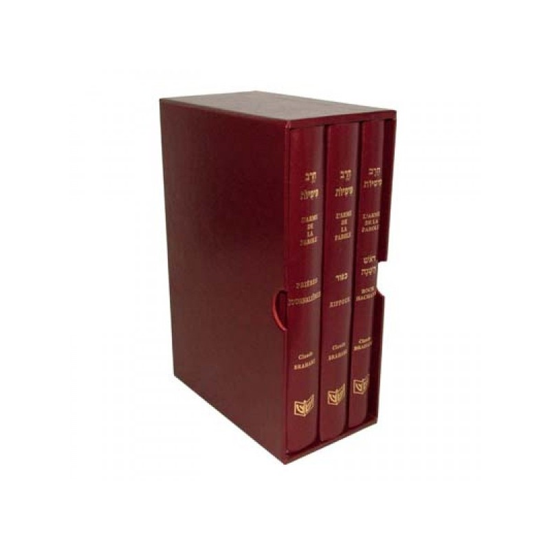 The weapon of speech - Three volumes box - Roch Hachana, Yom Kippour, daily prayers (Bordeau)
